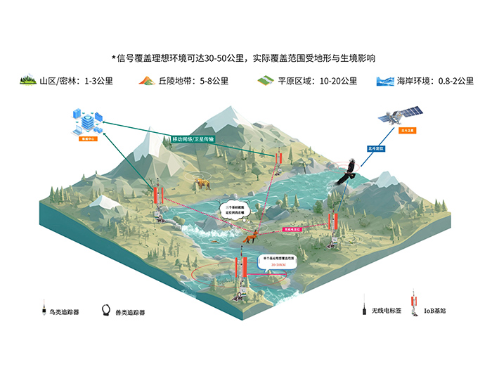 ����ku�ι���IoB���绯���ϵͳ��������Ǩ�㲻������