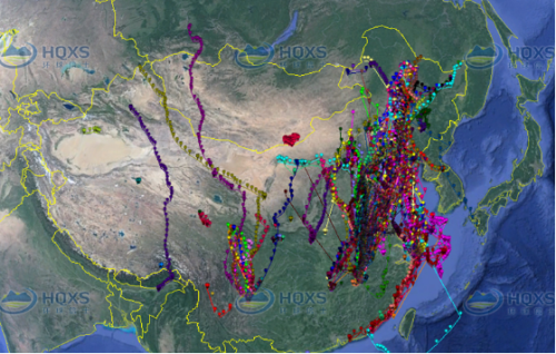 ����ku�ι���,����Ұ������׷��,��������׷����,����׷����