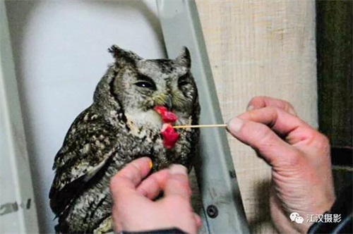 ����ku�ι���,����Ұ������׷��,��������׷����,����׷����