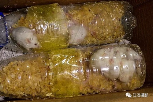 ����ku�ι���,����Ұ������׷��,��������׷����,����׷����