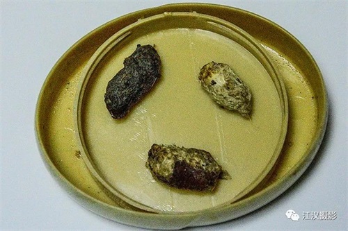 ����ku�ι���,����Ұ������׷��,��������׷����,����׷����