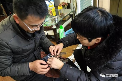 ����ku�ι���,����Ұ������׷��,��������׷����,����׷����