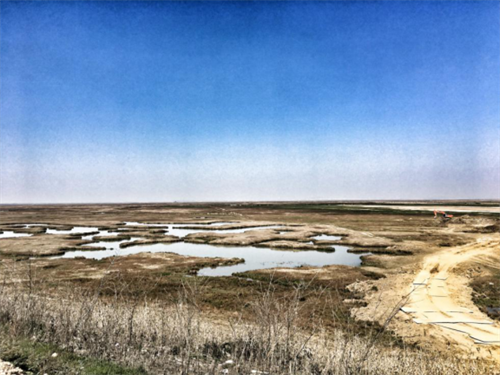 ����ku�ι���,����Ұ������׷��,��������׷����,����׷����