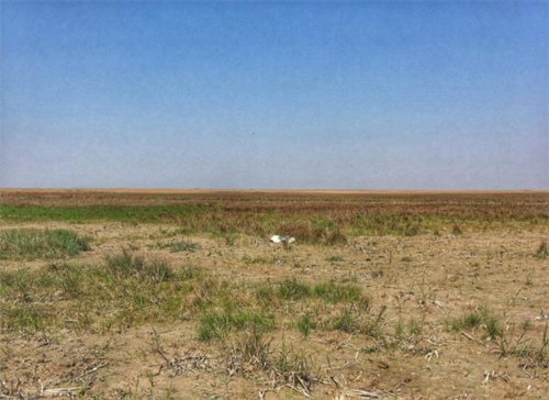 ����ku�ι���,����Ұ������׷��,��������׷����,����׷����