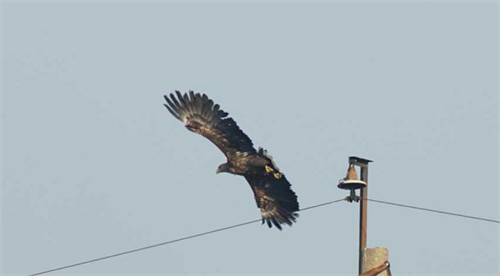 ����ku�ι���,����Ұ������׷��,��������׷����,����׷����