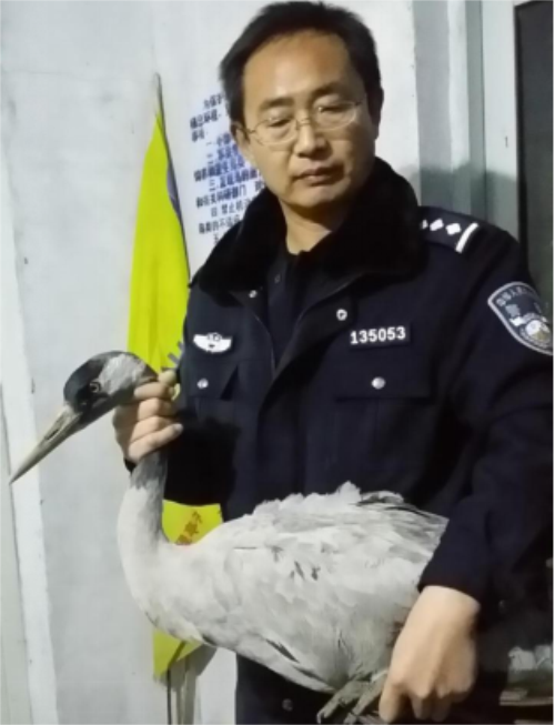 ����ku�ι���,����Ұ������׷��,��������׷����,����׷����