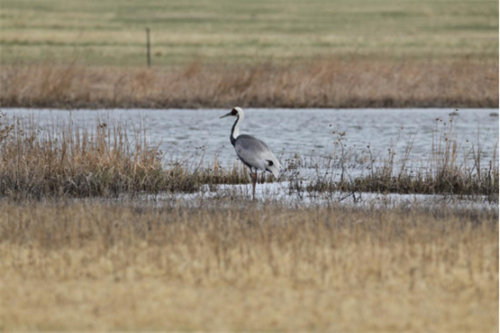 ����ku�ι���,����Ұ������׷��,��������׷����,����׷����