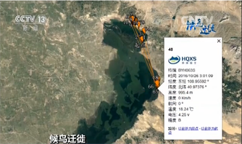 ����ku�ι���,����Ұ������׷��,��������׷����,����׷����