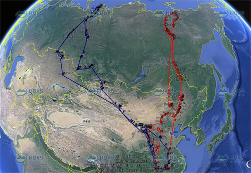 ����ku�ι���,����Ұ������׷��,��������׷����,����׷����