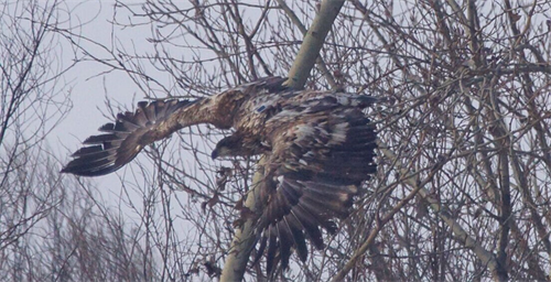 ����ku�ι���,����Ұ������׷��,��������׷����,����׷����