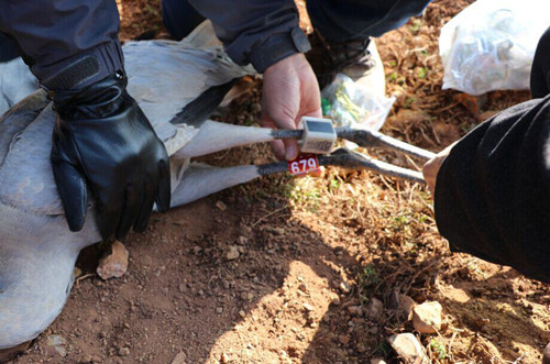 ����ku�ι���,����Ұ������׷��,��������׷����,����׷����