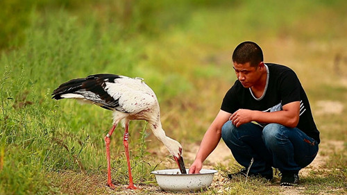 ����ku�ι���,����Ұ������׷��,��������׷����,����׷����