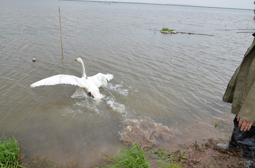 ����ku�ι���,����Ұ������׷��,��������׷����,����׷����