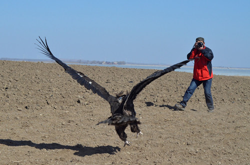 ����ku�ι���,����Ұ������׷��,��������׷����,����׷����