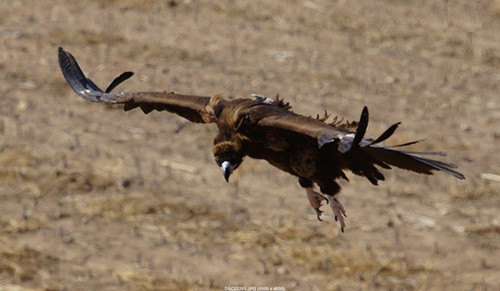 ����ku�ι���,����Ұ������׷��,��������׷����,����׷����