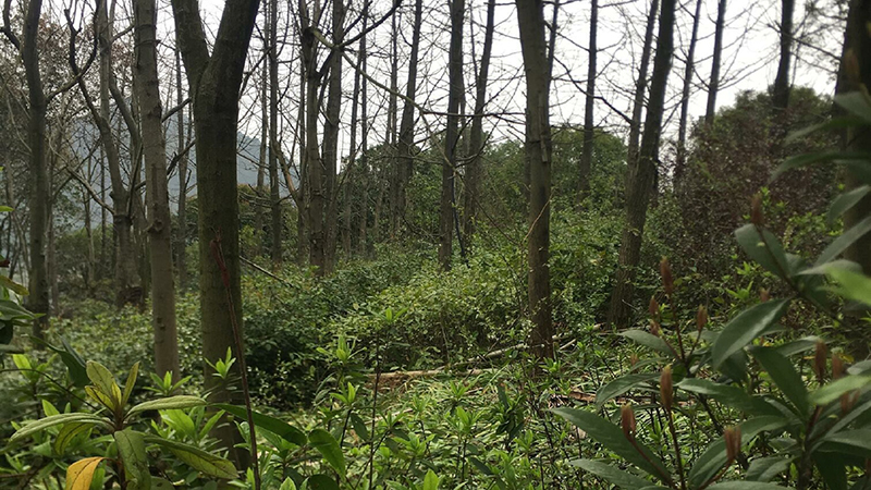 ����ku�ι���,����Ұ������׷��,��������׷����,����׷����