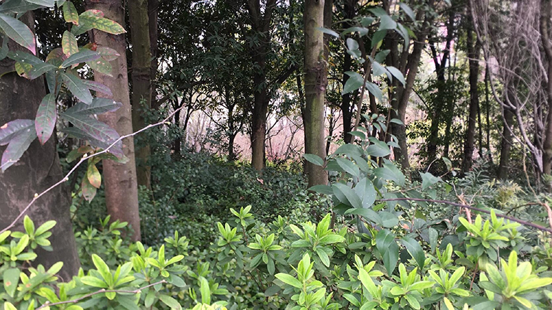 ����ku�ι���,����Ұ������׷��,��������׷����,����׷����