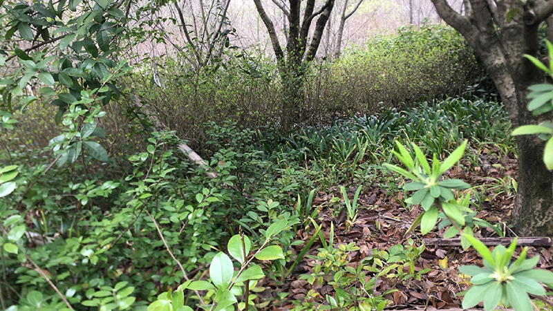 ����ku�ι���,����Ұ������׷��,��������׷����,����׷����