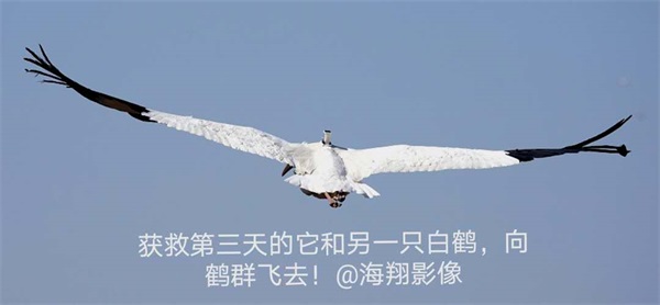 ����ku�ι���,����Ұ������׷��,��������׷����,����׷����