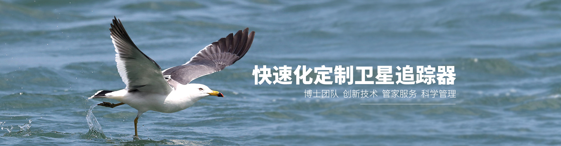 ����ku�ι���_����Ұ������׷��|��������׷����