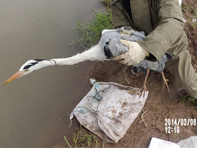 ����ku�ι���,����Ұ������׷��,��������׷����,����׷����