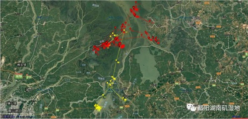 ����ku�ι���,����Ұ������׷��,��������׷����,����׷����