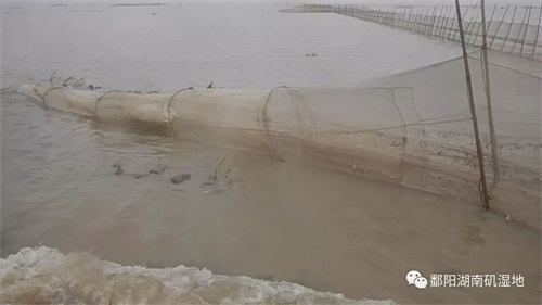 ����ku�ι���,����Ұ������׷��,��������׷����,����׷����