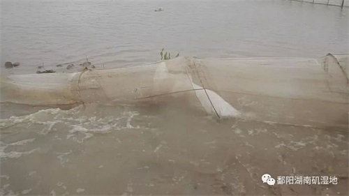 ����ku�ι���,����Ұ������׷��,��������׷����,����׷����