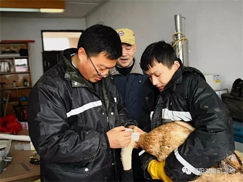 ����ku�ι���,����Ұ������׷��,��������׷����,����׷����