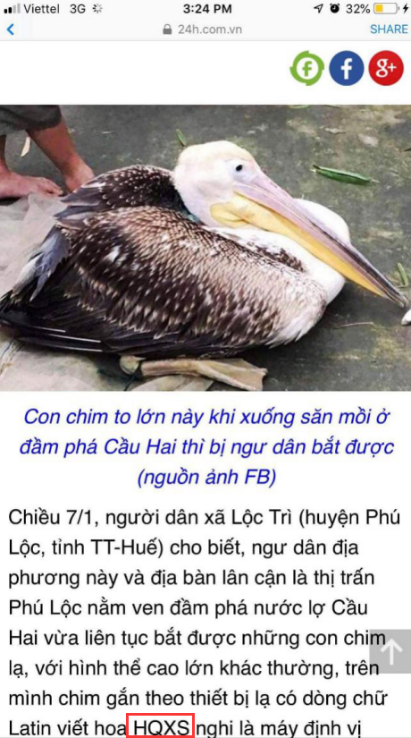 ����ku�ι���,����Ұ������׷��,��������׷����,����׷����