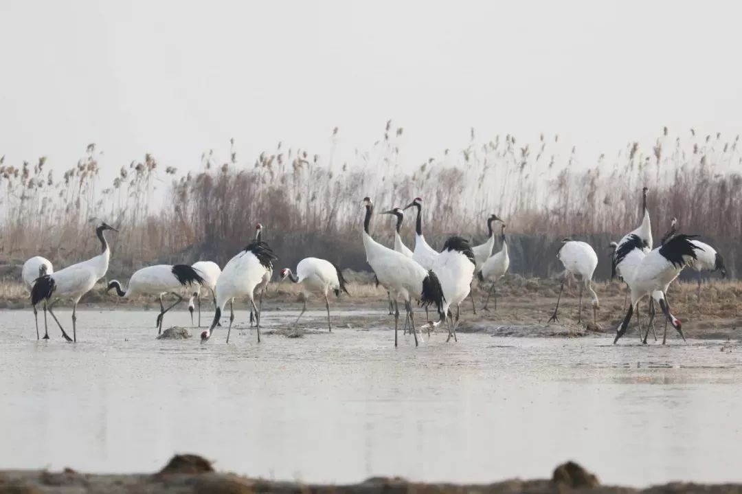 ����ku�ι���,����Ұ������׷��,��������׷����,����׷����