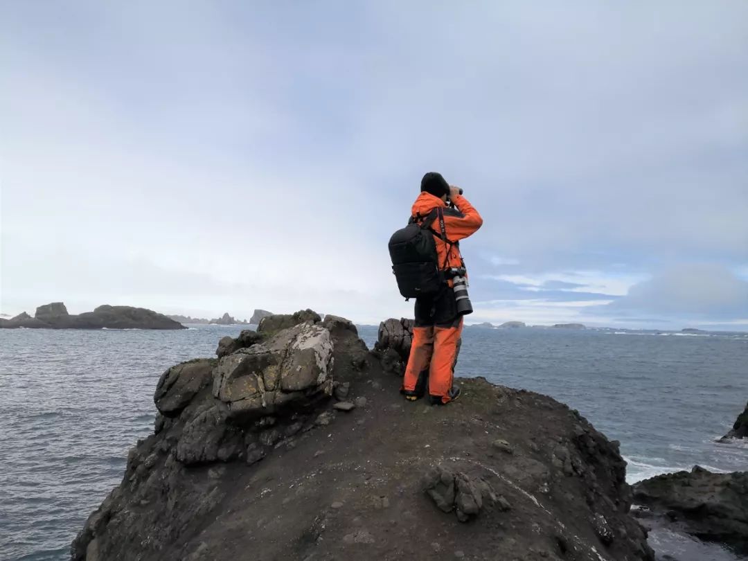 ����ku�ι���,����Ұ������׷��,��������׷����,����׷����