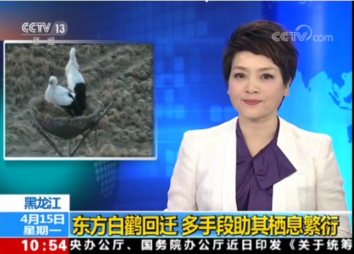 ����ku�ι���,����Ұ������׷��,��������׷����,����׷����