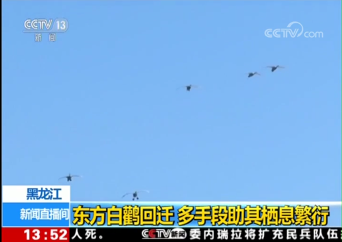 ����ku�ι���,����Ұ������׷��,��������׷����,����׷����