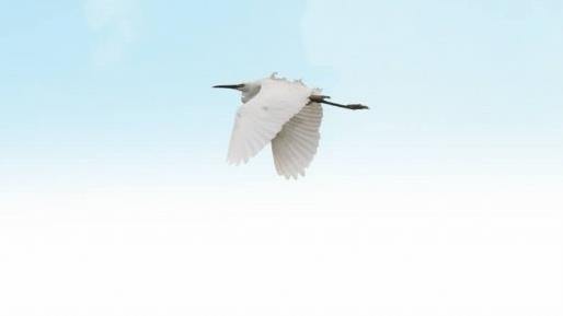 ����ku�ι���,����Ұ������׷��,��������׷����,����׷����