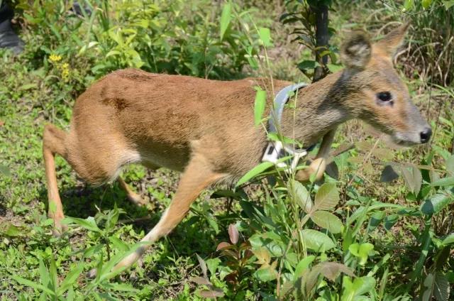 ���������Ͳ�,�Ͳ���,�Ͳ��,����ʱ���,�����,�Ͳ����Ǯ,�Ͳ�������,�Ͳ������