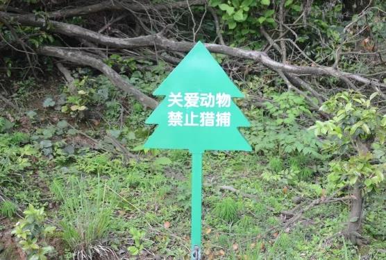 ØüÏØÐËÁÖÓͲè,ÓͲèÃç,ÓͲè¹û,Çá»ùÖʱÃç,Âã¸ùÃç,ÓͲèÃç¼ÛÇ®,ÓͲèÃçÅú·¢,ÓͲèÃç»ùµØ ØüÏØÐËÁÖÓͲè,ÓͲèÃç,ÓͲè¹û,Çá»ùÖʱÃç,Âã¸ùÃç,ÓͲèÃç¼ÛÇ®,ÓͲèÃçÅú·¢,ÓͲèÃç»ùµØ