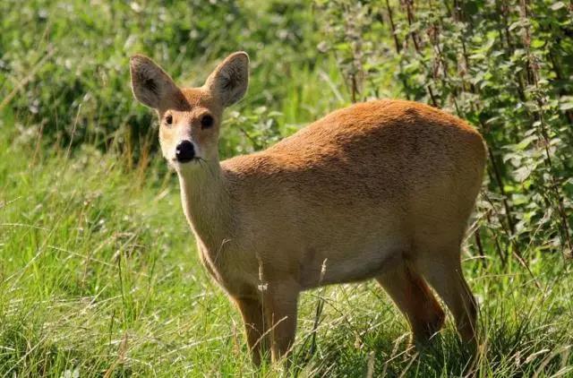 ���������Ͳ�,�Ͳ���,�Ͳ��,����ʱ���,�����,�Ͳ����Ǯ,�Ͳ�������,�Ͳ������