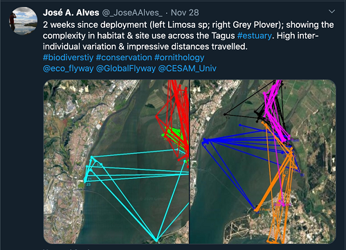 ����ku�ι���,����Ұ������׷��,��������׷����,����׷����