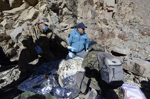 ����ku�ι���,����Ұ������׷��,��������׷����,����׷����