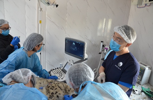 ����ku�ι���,����Ұ������׷��,��������׷����,����׷����