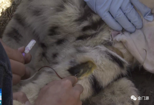 ����ku�ι���,����Ұ������׷��,��������׷����,����׷����