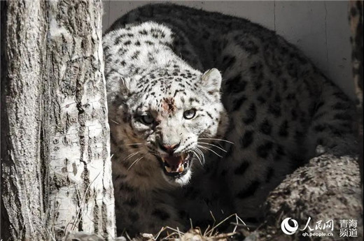 ����ku�ι���,����Ұ������׷��,��������׷����,����׷����