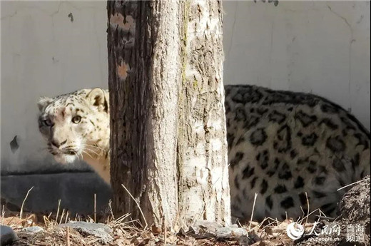 ����ku�ι���,����Ұ������׷��,��������׷����,����׷����