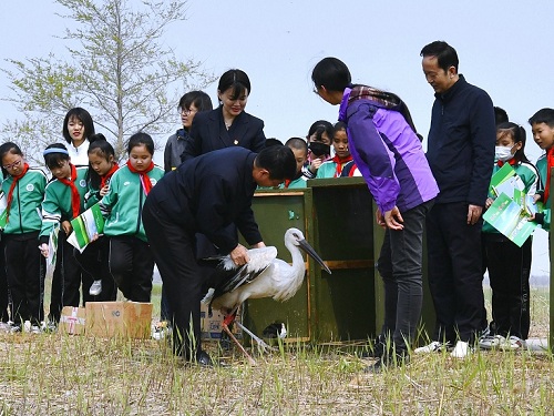 ����ku�ι���,����Ұ������׷��,��������׷����,����׷����