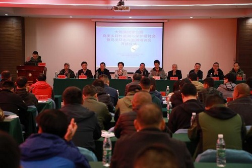 ����ku�ι���,����Ұ������׷��,��������׷����,����׷����