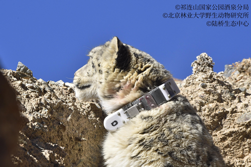 ���ݿ���(���Ρ�ku��)�ٷ���վ