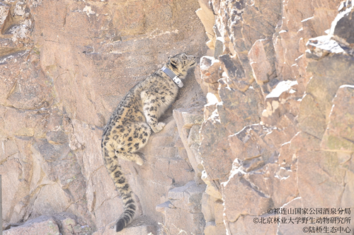 ���ݿ���(���Ρ�ku��)�ٷ���վ