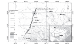 ����ku�ι���,����Ұ������׷��,��������׷����,����׷����