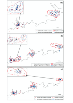 ����ku�ι���,����Ұ������׷��,��������׷����,����׷����